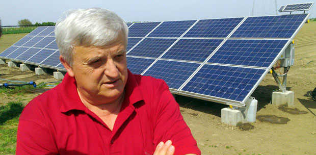 Сунце залива шаргарепу